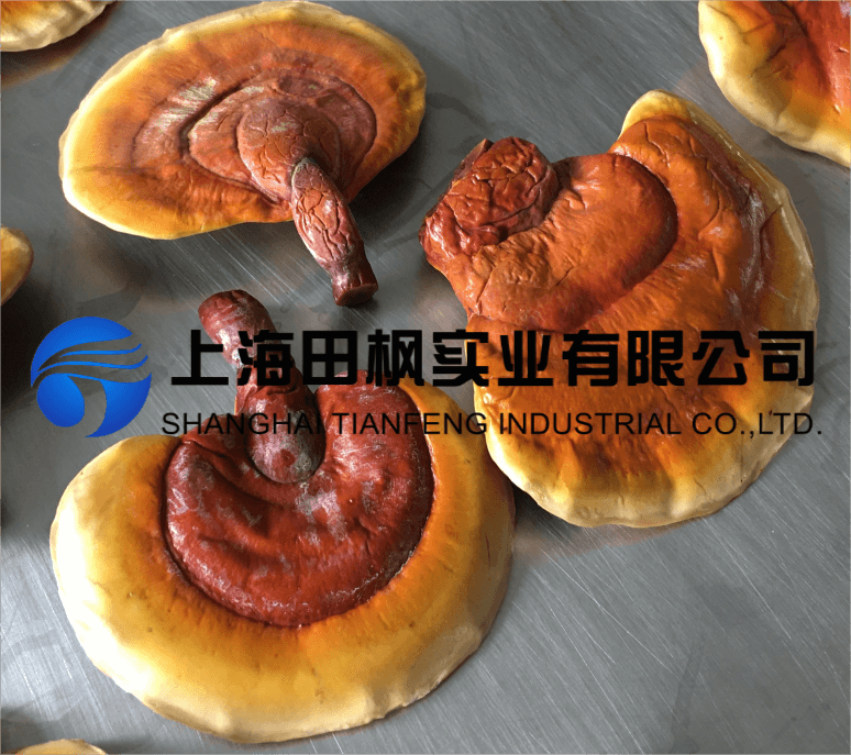 圖片 1.png
