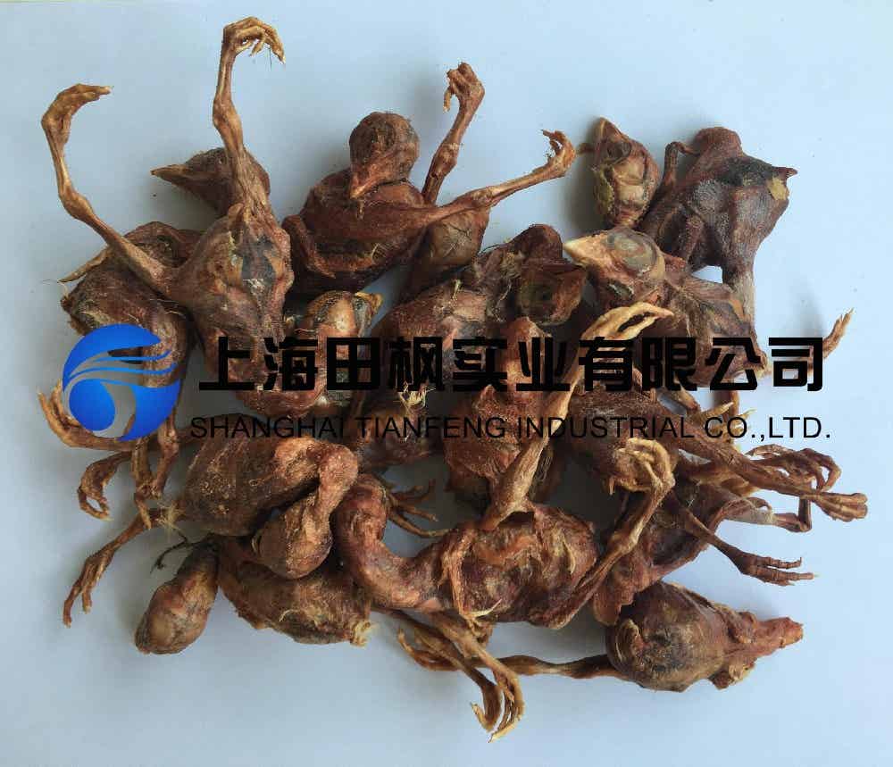 寵物零食小鵪鶉凍干