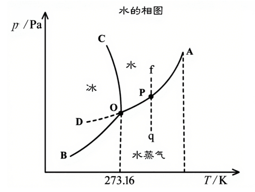 凍干是什么？