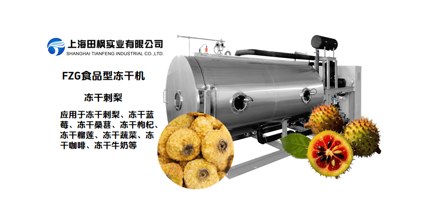冷凍干燥機(jī)，保留刺梨豐富維C
