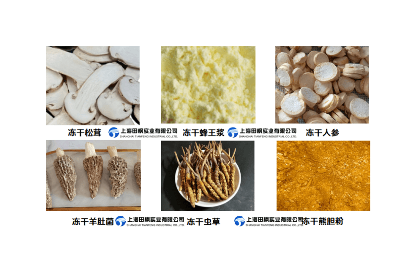 食用菌冷凍干燥機(jī)在高端菌菇及中藥材加工領(lǐng)域的應(yīng)用