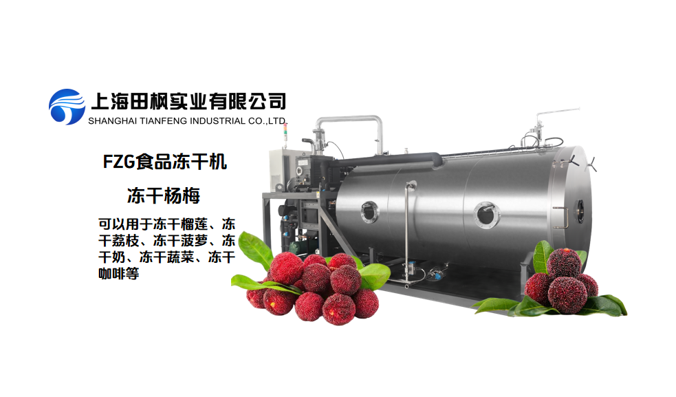 夏季楊梅深加工與冷凍干燥機(jī)應(yīng)用方案